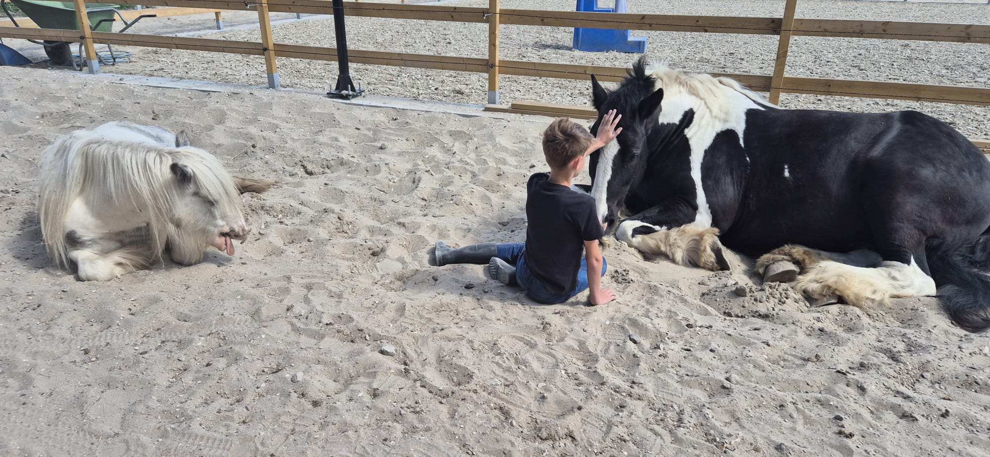 Afbeelding van WhatsApp op 2025-06-19 om 15.42.00_b0f08944