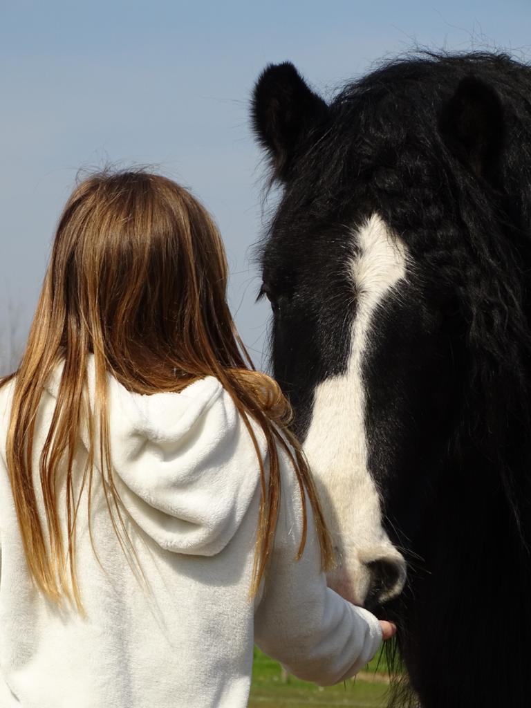 Afbeelding van WhatsApp op 2025-10-24 om 16.06.36_5661d66c